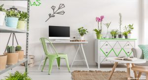 Environmentally Friendly Home Decor: Tips and Tricks