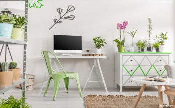 Environmentally Friendly Home Decor: Tips and Tricks