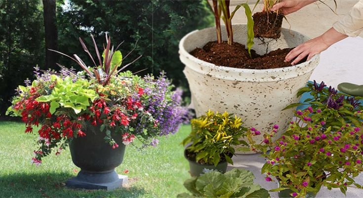 How to Plant in Large Outdoor Flower Pots