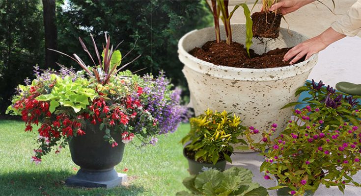 How to Plant in Large Outdoor Flower Pots