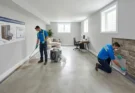 Professional Basement Waterproofing and Mold Remediation Services